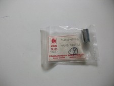 Genuine Kawasaki Strimmer