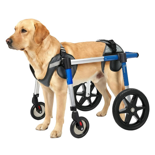 Used dog wheelchair for - dog, back