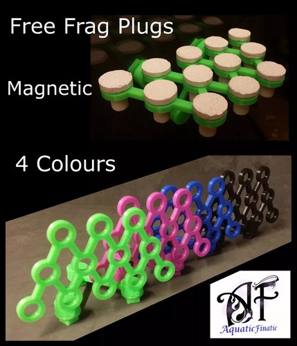 Magnetic frag rack coral