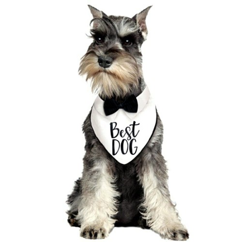 Best dog bandana bow tie - dog,