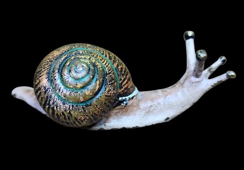 Antique vienna bronze snail - antique,