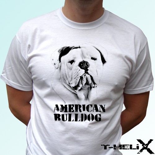 American bulldog dog - bulldog, shirt