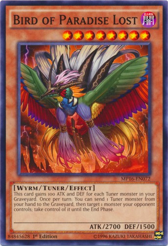 Bird paradise lost - of,