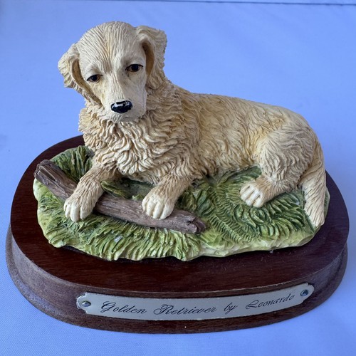 Leonardo golden retriever - golden,