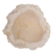 Corn Snake Water Dish Bearded