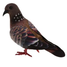 Animal model, pigeon model