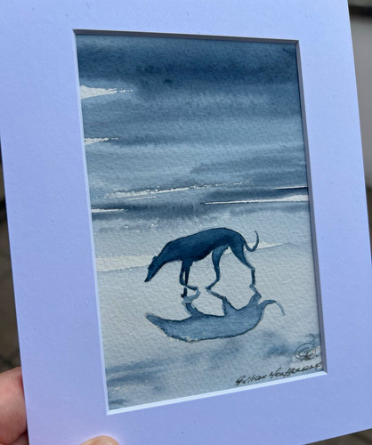 Gillian montgomery greyhound - montgomery,