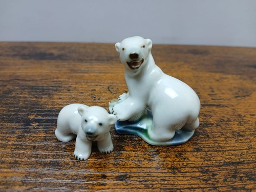 Polar bear and - polar,