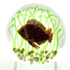 SCARCE Amazing JANET KELMAN