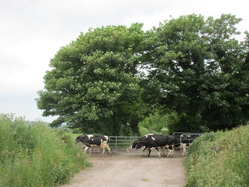 Photo 6x4 the way - the,