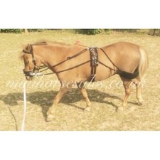 Mini Training System. Aid