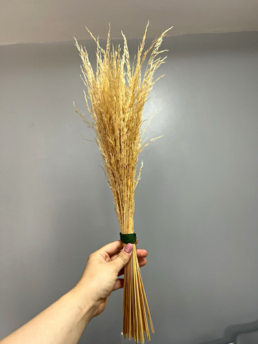 Dried grass bouquet bunch - grass,