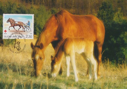 Trotting races harness racing - trotting,
