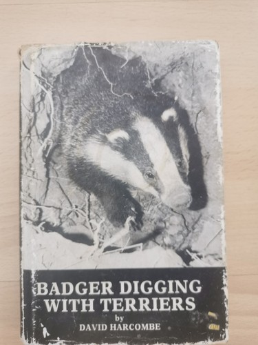 Badger digging with - , terriers