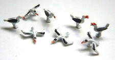 Birds 8 Seagulls F143p PAINTED
