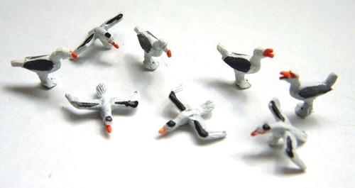 Birds seagulls f143p - 8,