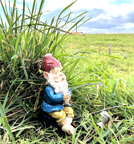 Gnome elf fishing angling - elf,