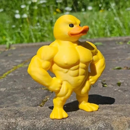 Muscle duck statue funny - muscle, 3d