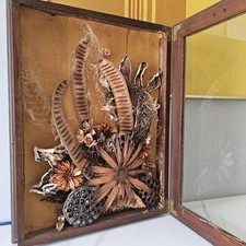 Antique Victorian Mourning Shadow Box Dried Flowers, Pods Glass Wood  21.5x16.5
