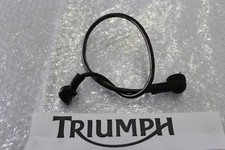 Triumph Sprint RS 955i Power