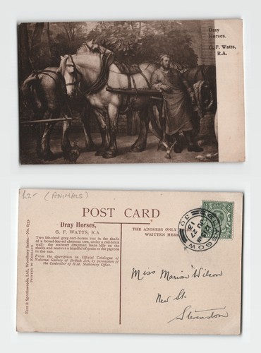 Postcard dray horses f - -,