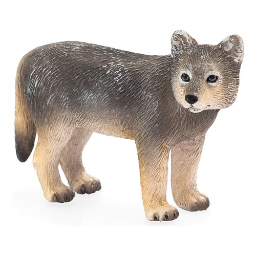 Animal planet wildlife - planet,