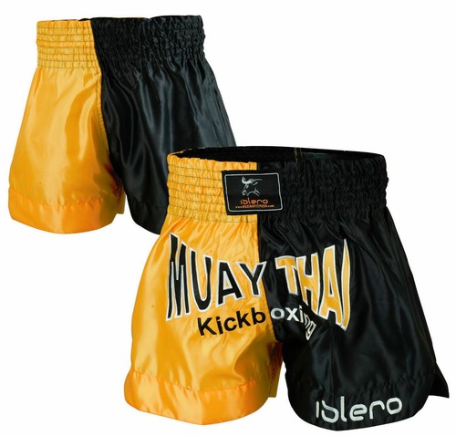 Islero cage fight - muay, thai