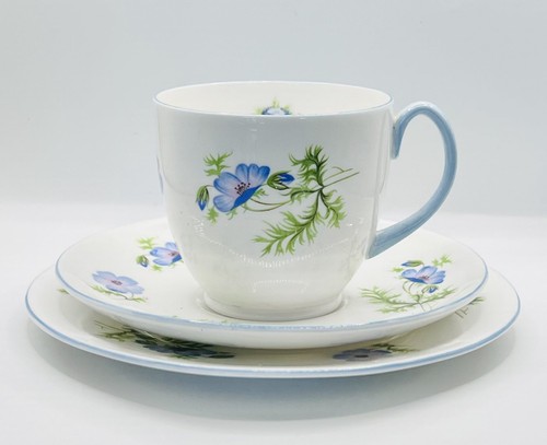 Shelley bristol late - bristol, blue