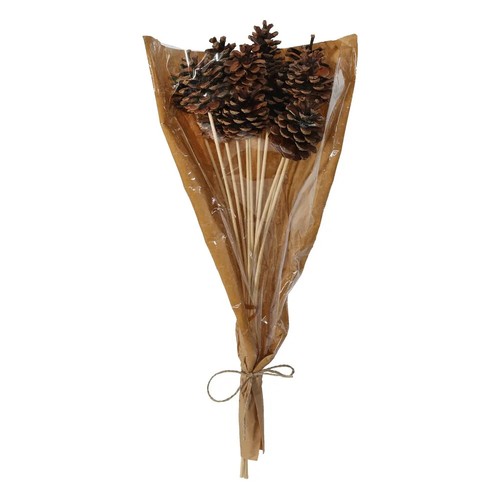 Pine cones picks sticks - pine, picks/sticks