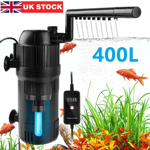 Internal aquarium fish - aquarium,
