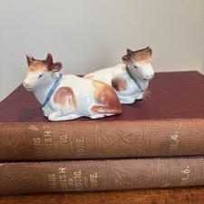 Pair Of Staffordshire Recumbent Cows With Blue Collars A/F