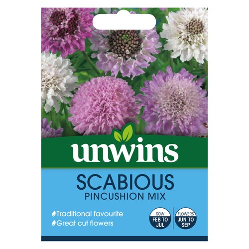 Scabious pincushion mix - mix, |