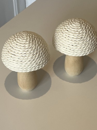 Pair autumn decorative - of,