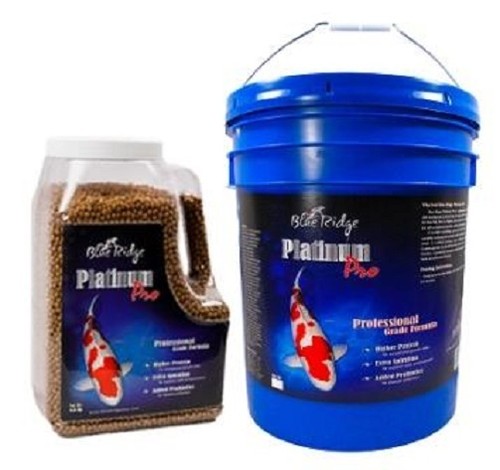 Blue ridge fish hatchery - blue,