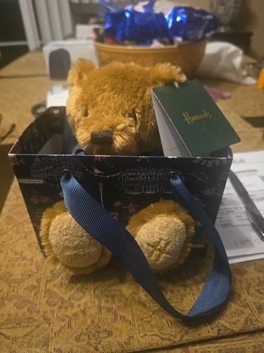 Harrods teddy bear - teddy,