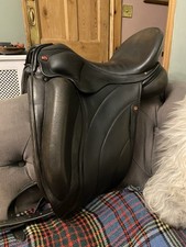 Albion Revelation Dressage