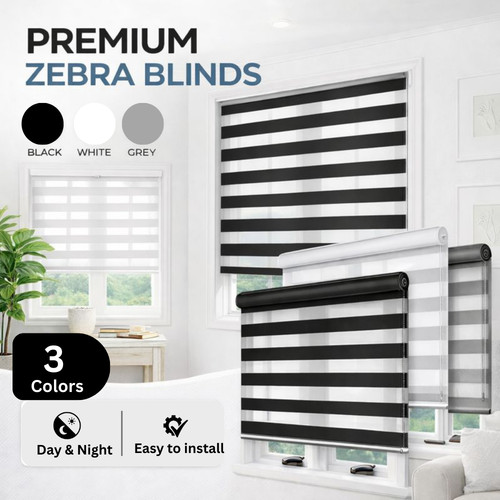 Day and night blind zebra - night,