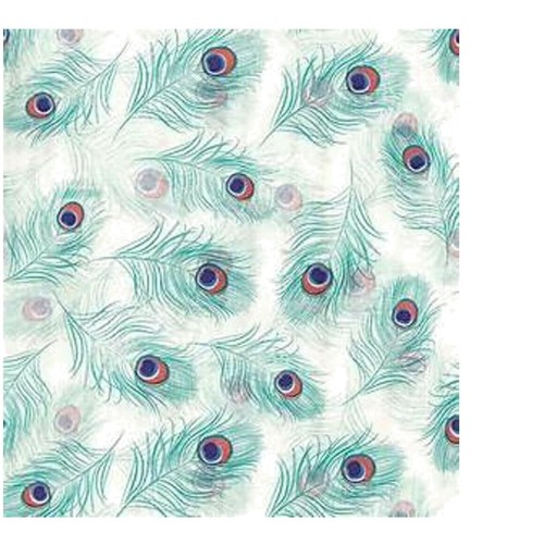 Beautiful peacock feathers - beautiful,