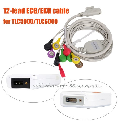 New lead ecg holter - 12-lead, cable