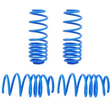 Lowering Springs for Ford