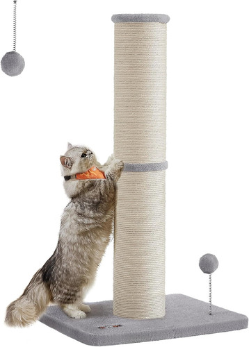Feandrea cat scratching - cat, post