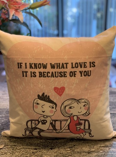 New 45cm luxury cushion - 18",