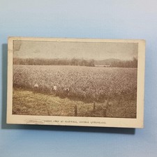 Stanwell Qld Australia