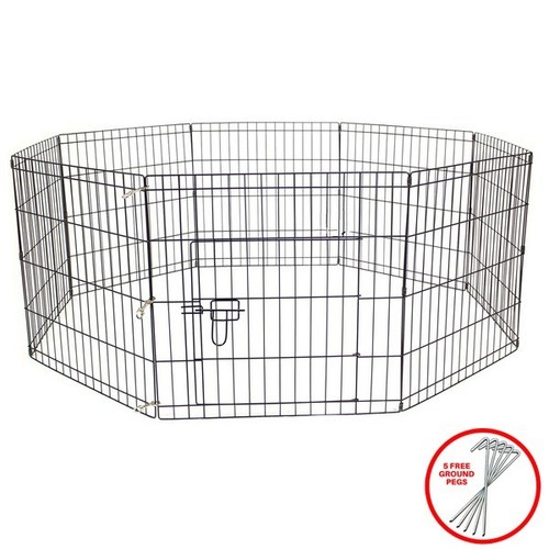 Petbarn dog puppy rabbit - dog,
