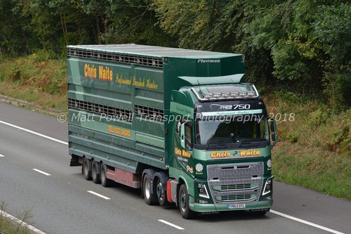 Truck photo 12x8 - 12x8,