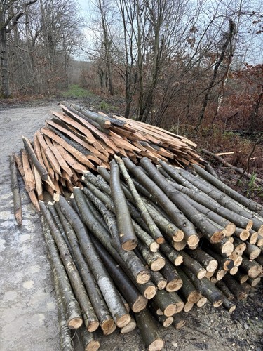 Chestnut fencing post - fencing,
