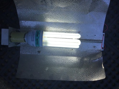 125w cfl grow - 125w, reflector