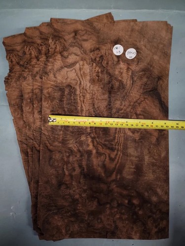 American walnut burr veneer - veneer,