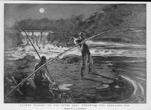 1896 scotland salmon - *,