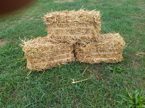 Mini straw bale - straw,